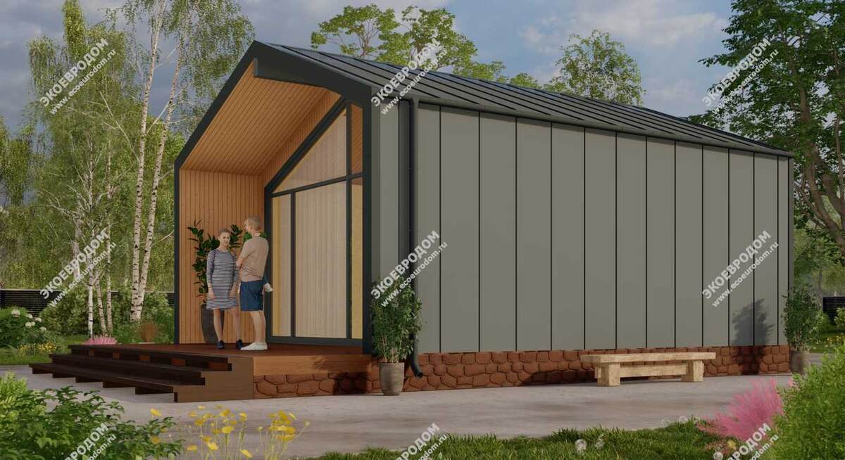 Проект "Игуасу"