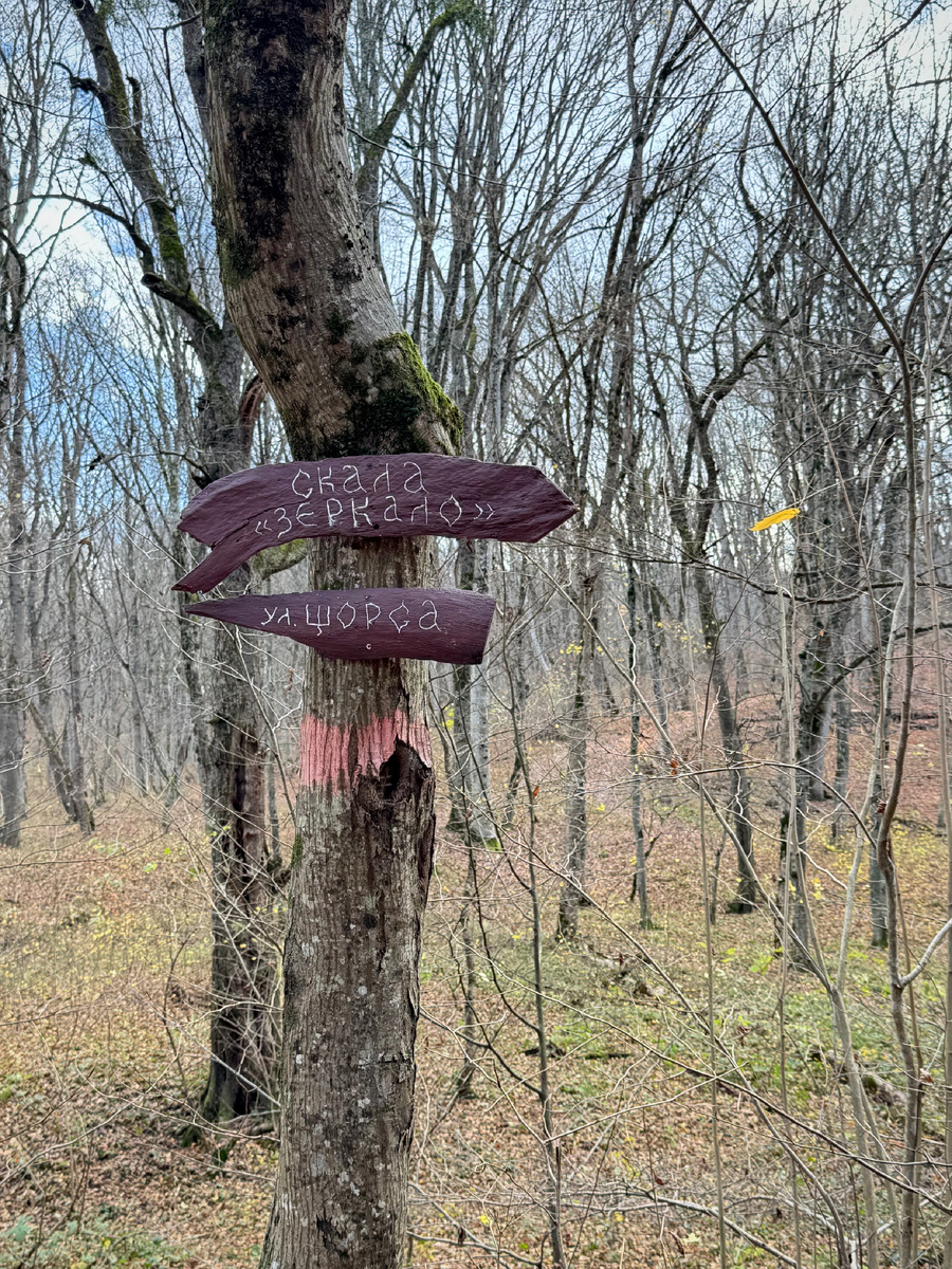 Милые указатели.
