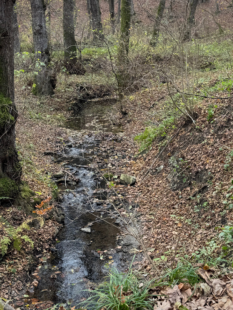 Ерик Мальцева.