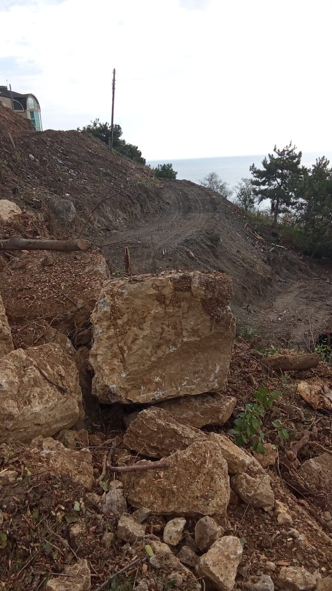 Поликуровский холм, Ялта, осень 2025