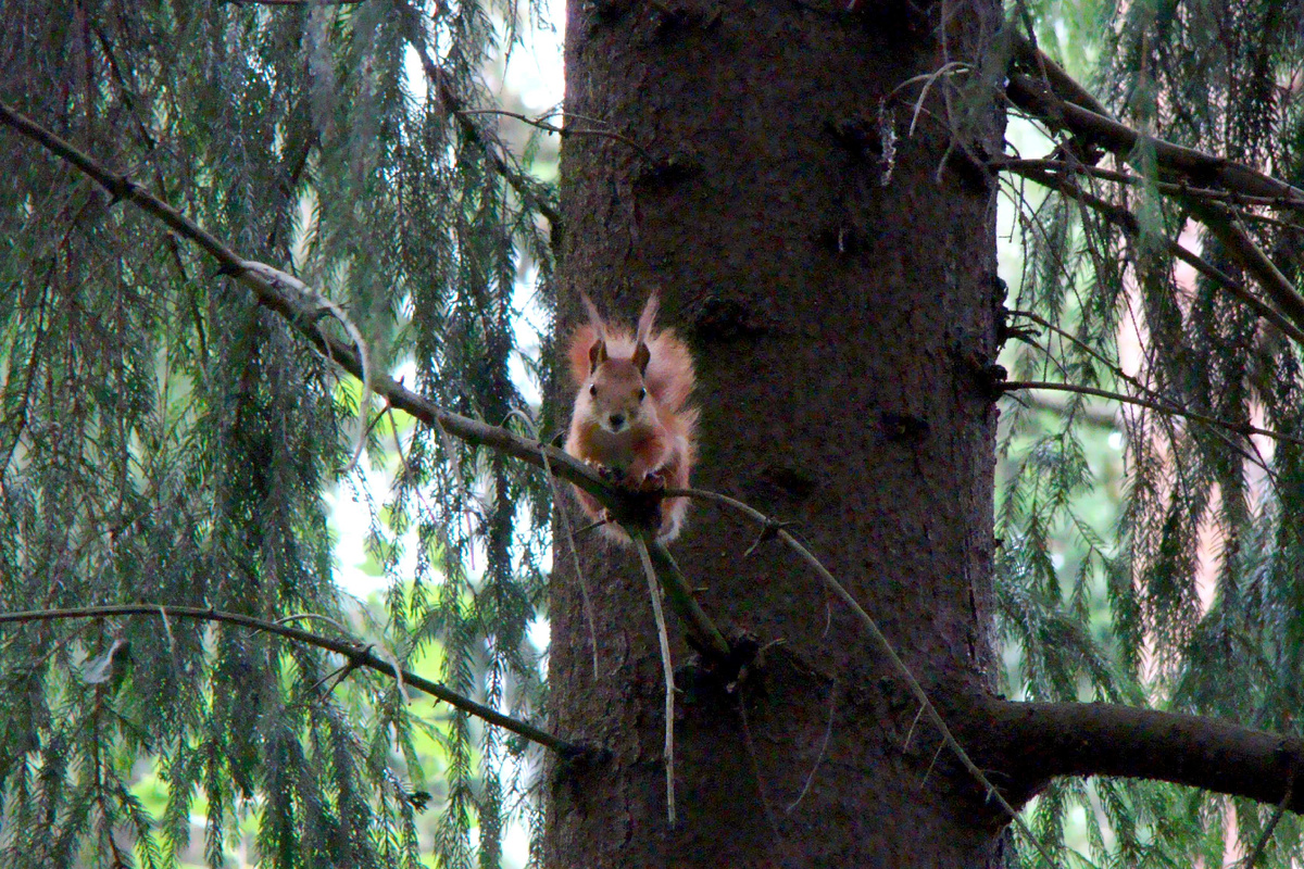 Фото Лидии Бам