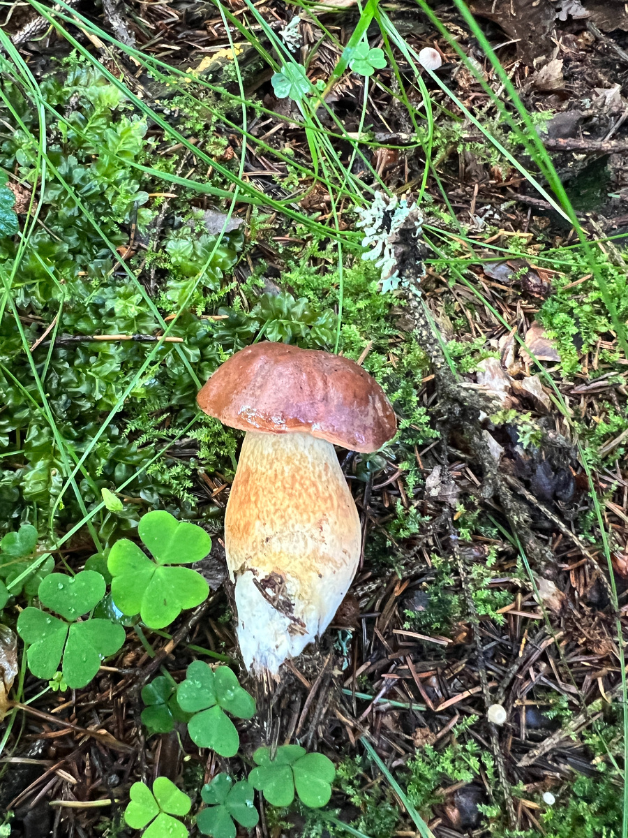 Фото Лидии Бам