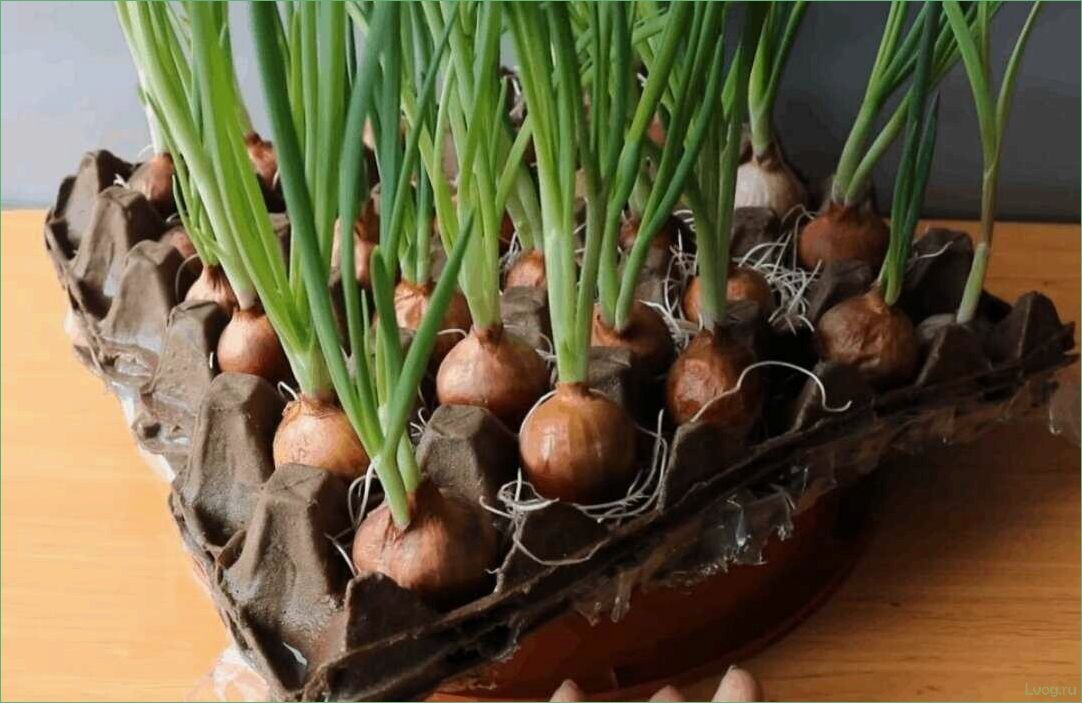 фото взято из открытого бесплатного источника. Не реклама