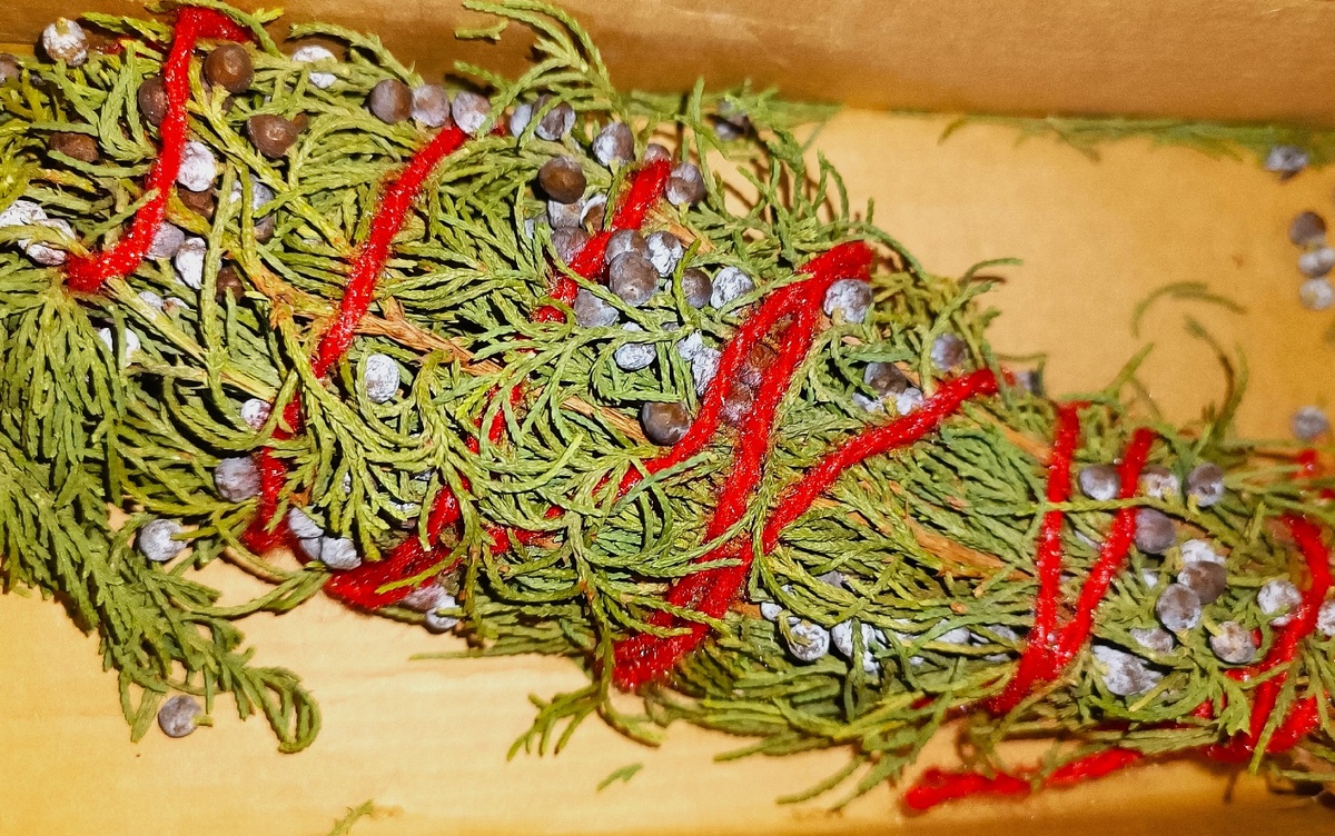 этот веничек и есть артыш с семенами, который я заказала на Авито