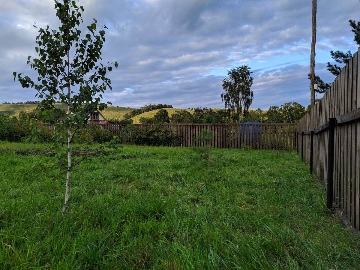 На заре нашего садоводства