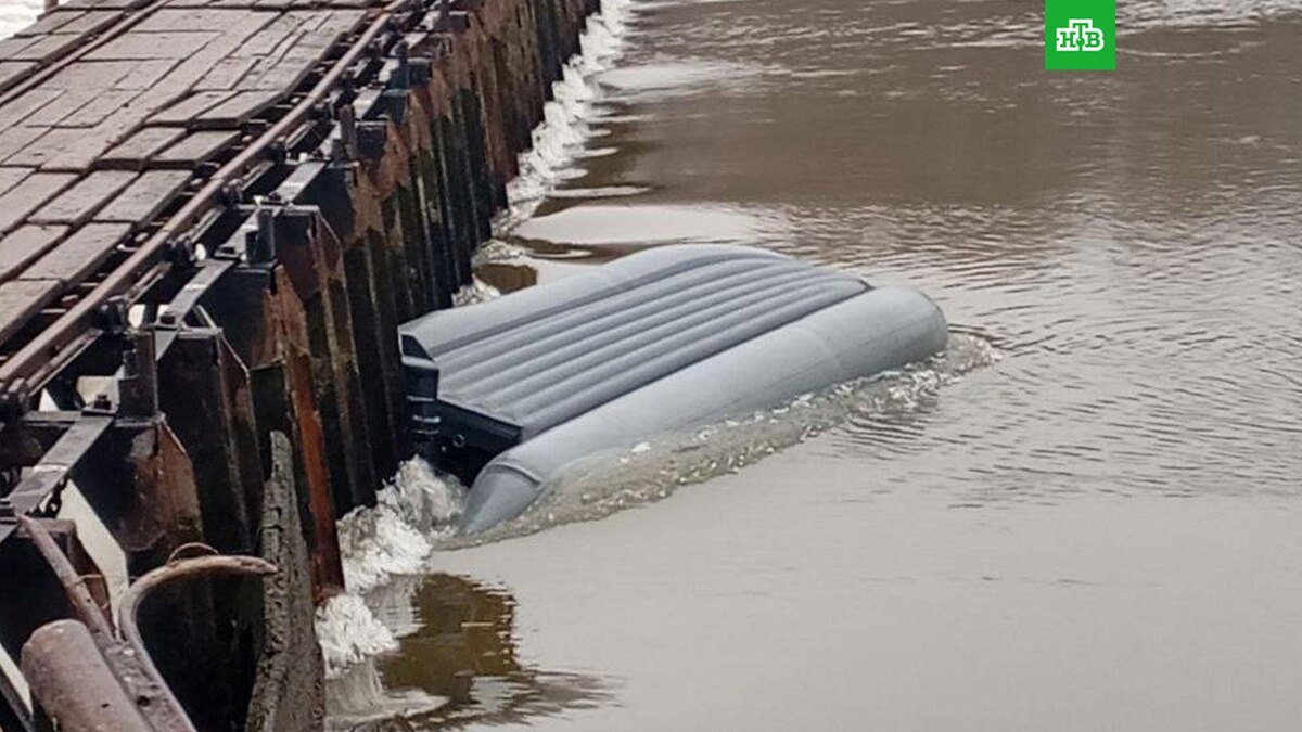    Фото: mchs_mo / t.me