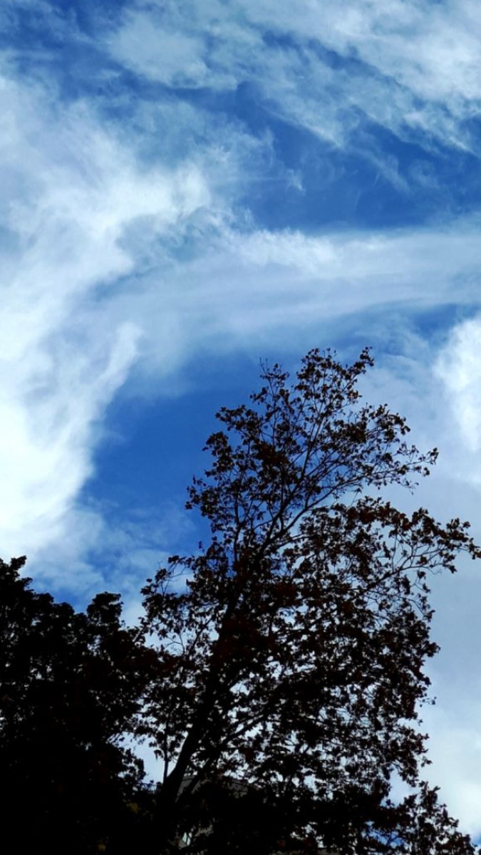 Фото автора 13.10.2025г.