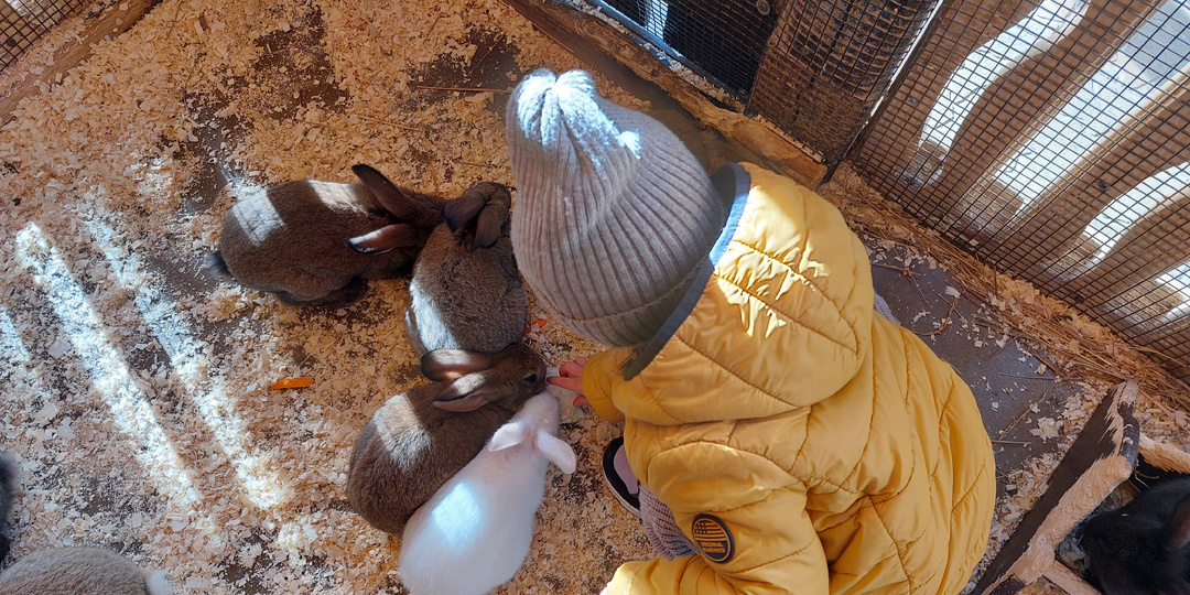 Можно жить в режиме "минимум покупок", но иногда это так скучно. Как мы ездили в гости к детям