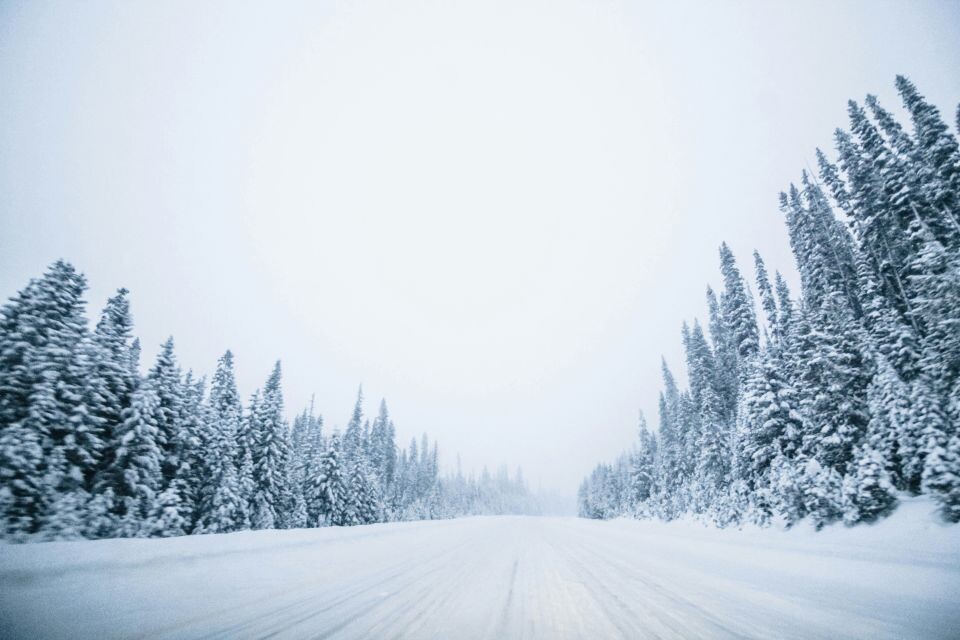    Трасса, дорога, зима. Источник: unsplash.com