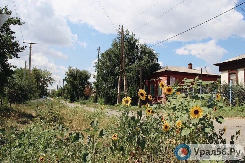   В Оренбурге дачники пожаловались на перекрытую дорогу к озеру, но суд встал на сторону СНТ