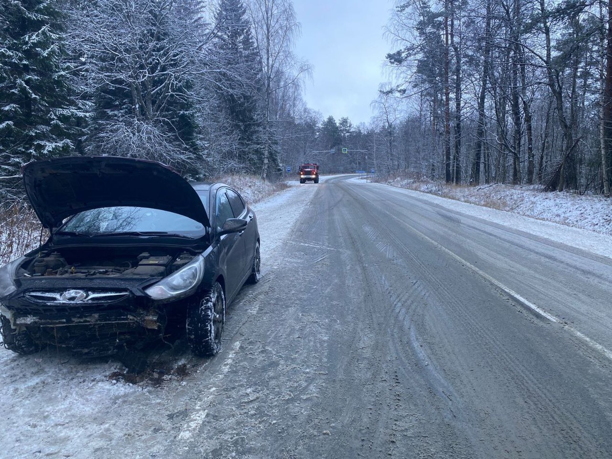    Фото: Госкомитет по безопасности населения Карелии