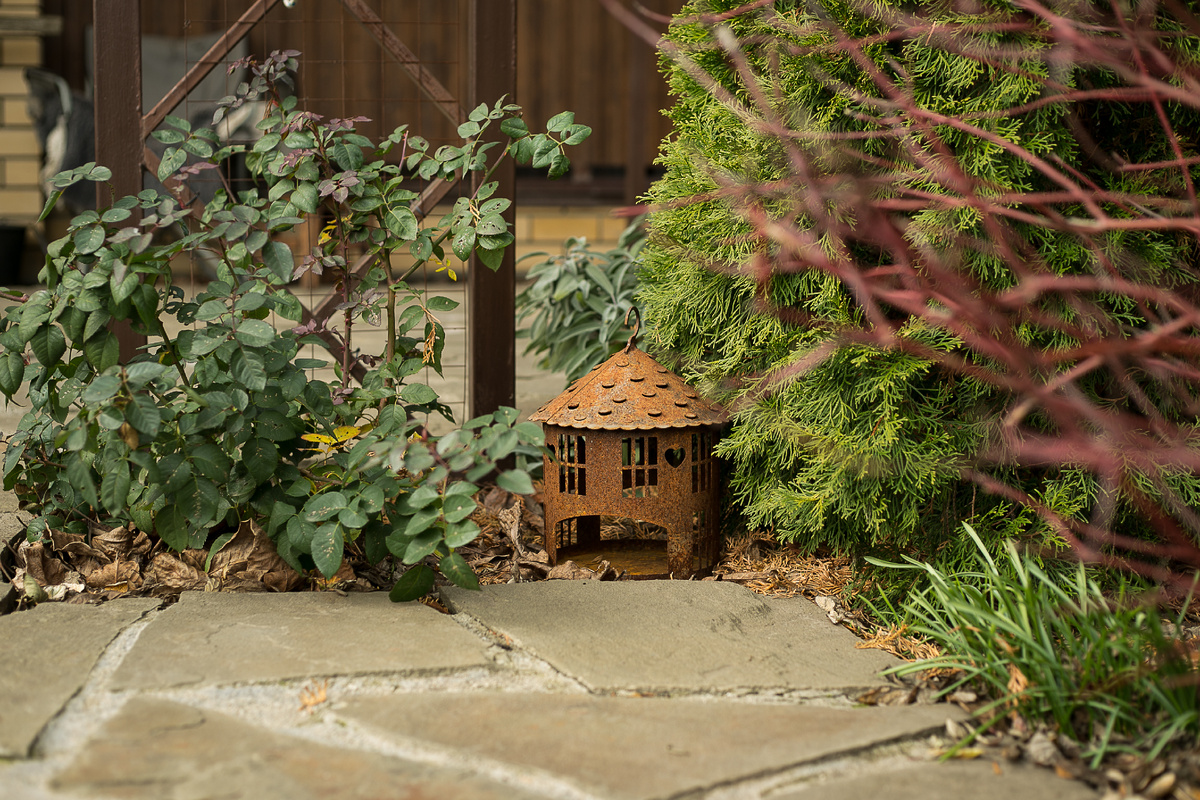Автор фото Елена Якимова / Greenfingers