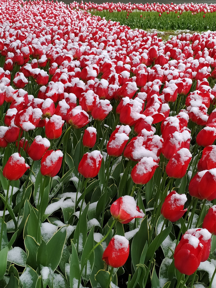 Ничего не попишешь, закон природы 