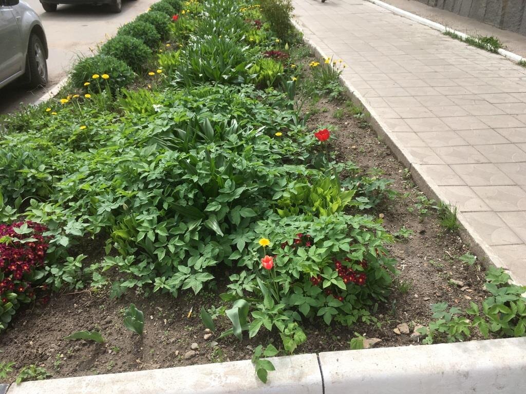 В большинстве мест теперь сделали каменистую отсыпку, поскольку справиться со снытью по другому не вышло...