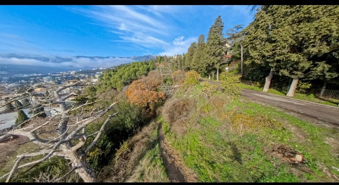 Поликуровский холм до начала работ на участке. Осень 2025