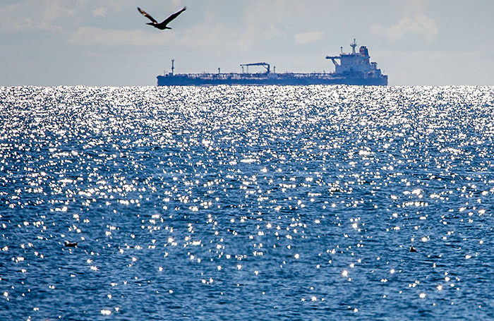     Jens Büttner/DPA/TASS