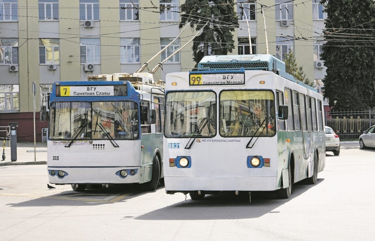     Автор фото: Виталий ГАРКУША (архив)