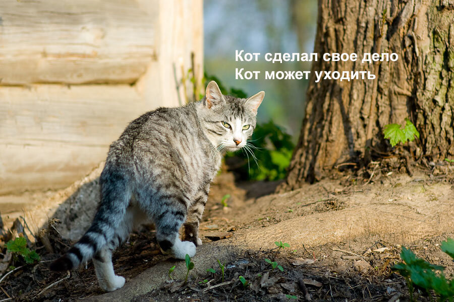 "Я загляну попозже. А сейчас – к соседке". 