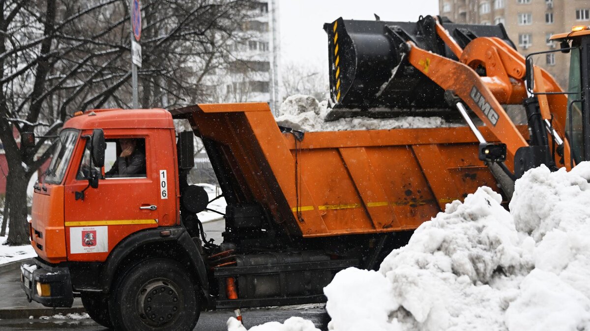    Фото: Komsomolskaya Pravda/Global Look Press