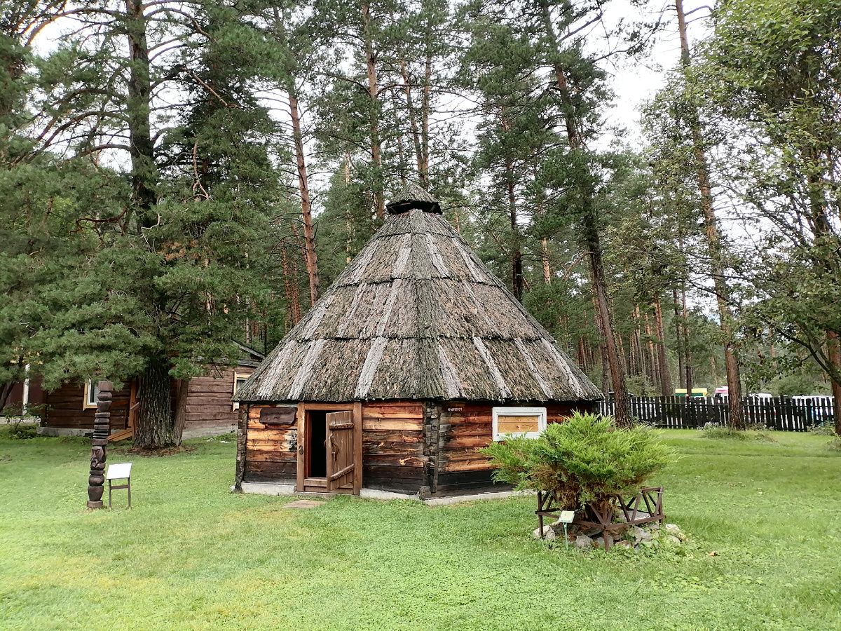 Горно-Алтайский ботанический сад. Фото автора