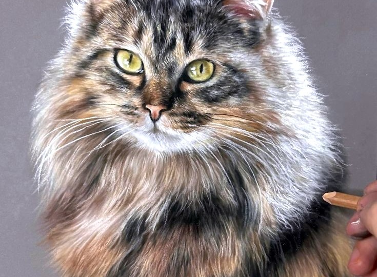 Портрет кота