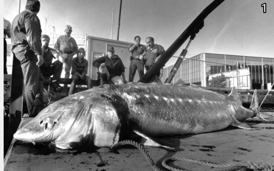 Фото: взято из Яндекс картинки. 