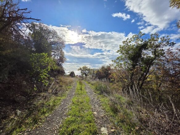    Фото: t.me/kravchenko_glava_nvrsk