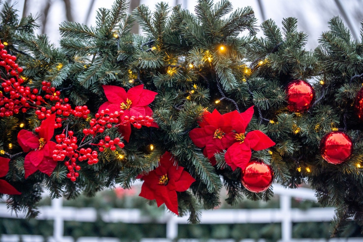 Фото: Юлия Федотова