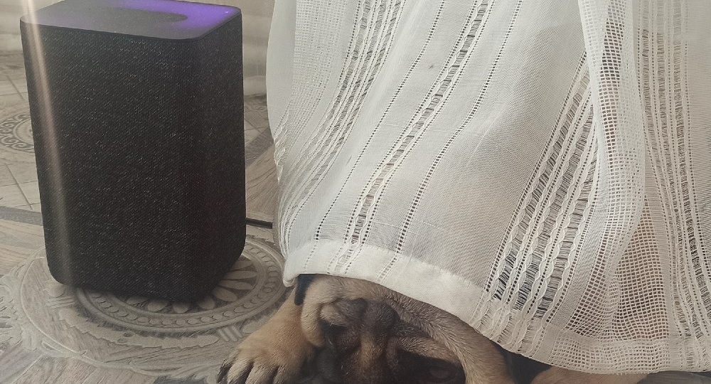 Дневник мопса: Кризис мопсиной идентичности