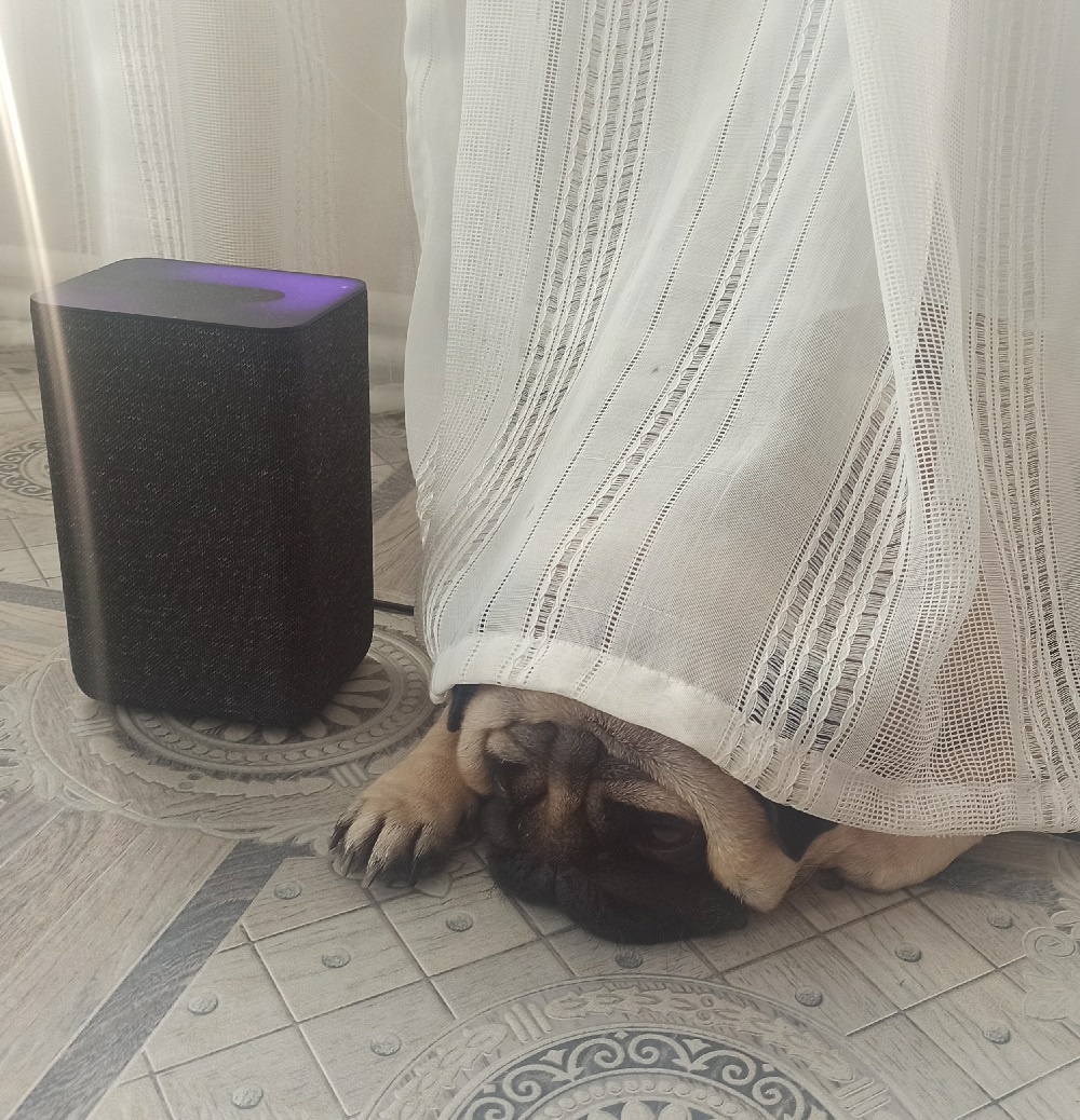 Ефим Ефимыч слушает умную колонку