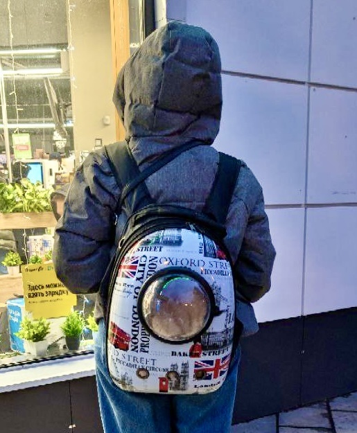 Мы с Марселем