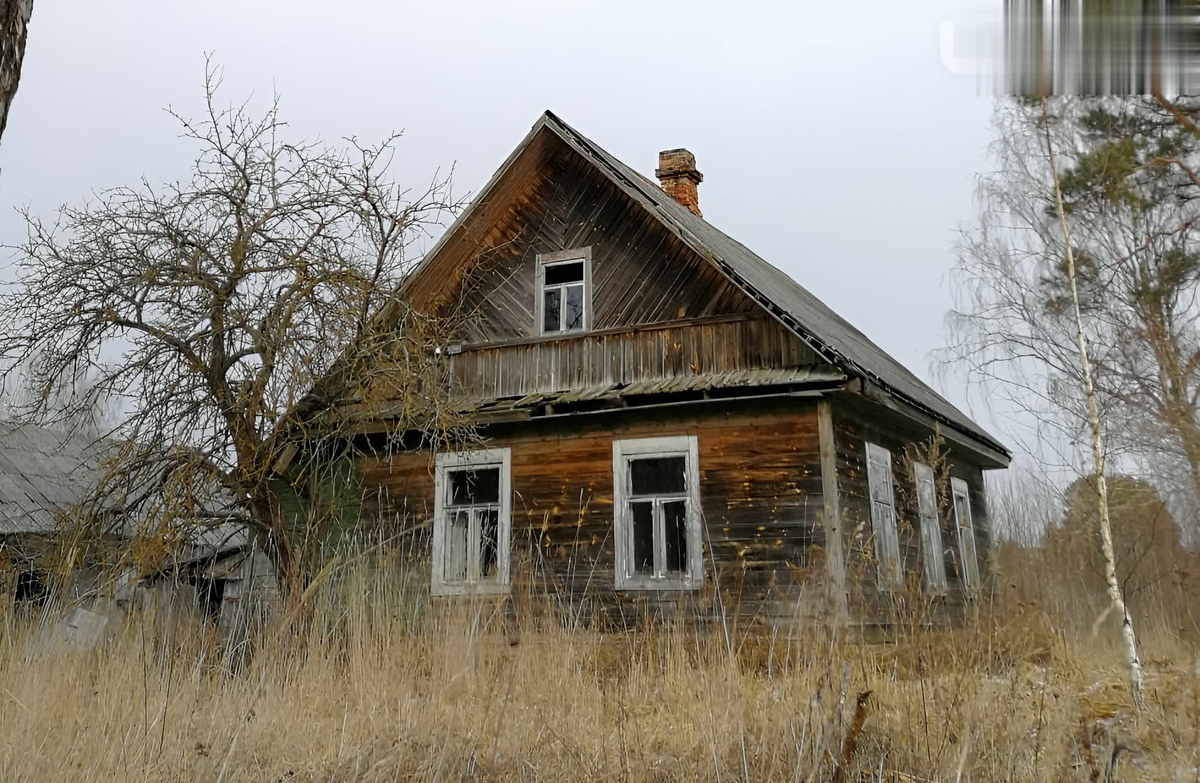  Свои первые видео о находках в заброшках Дима начал публиковать в 2015 году. 