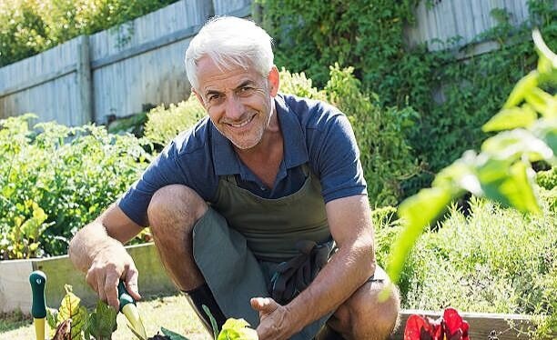 Яндекс картинки.