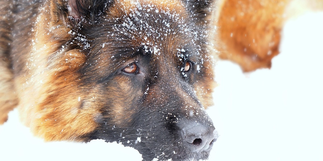 Дом, где никто не живёт