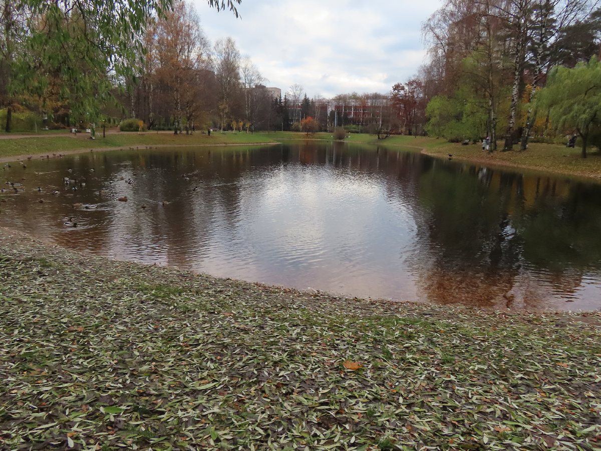 Листайте галерею