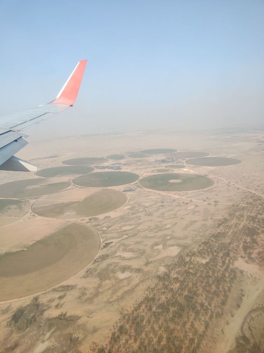 Круги на полях