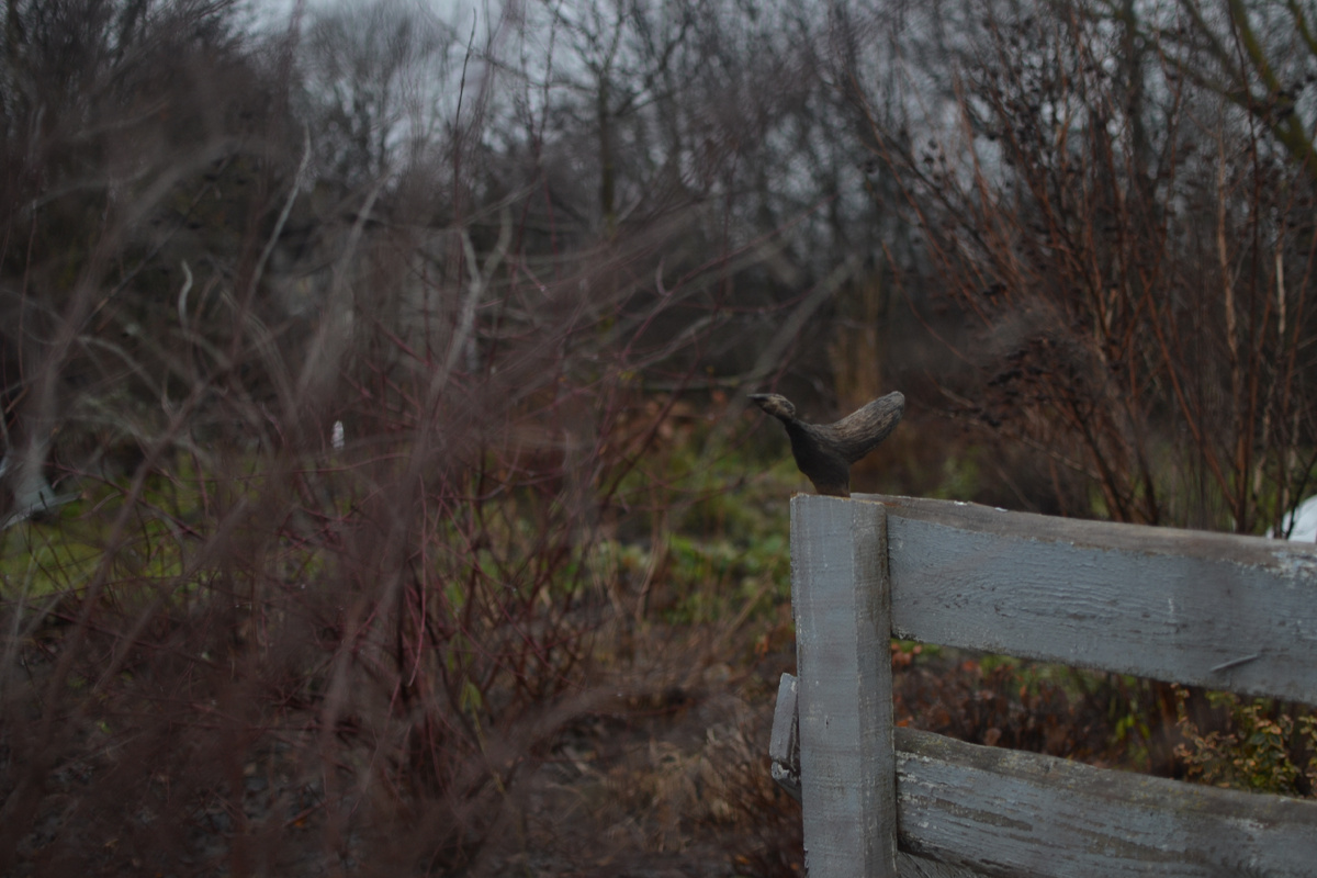 Ноябрьский Марусин сад