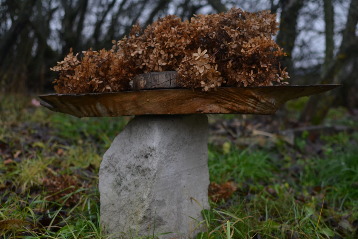 Обрезала. Две фотографии