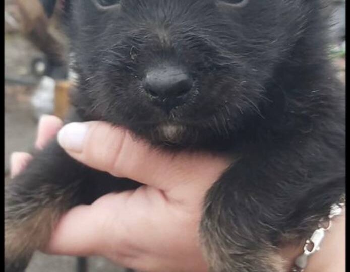 Ненужные жизни на старой базе