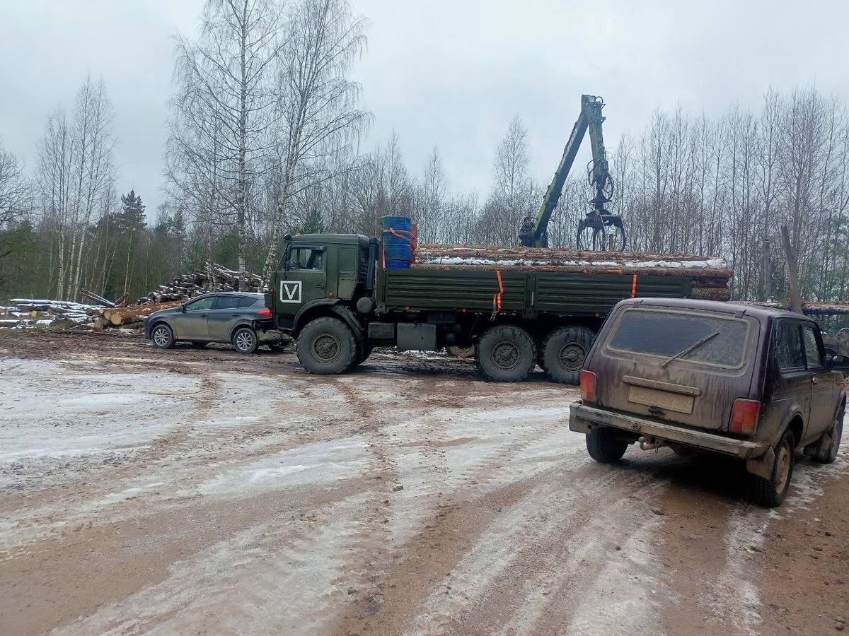 Фото: личная страница главы Бежаницкого муниципального округа Елены Ивановой в соцсети «ВКонтакте»