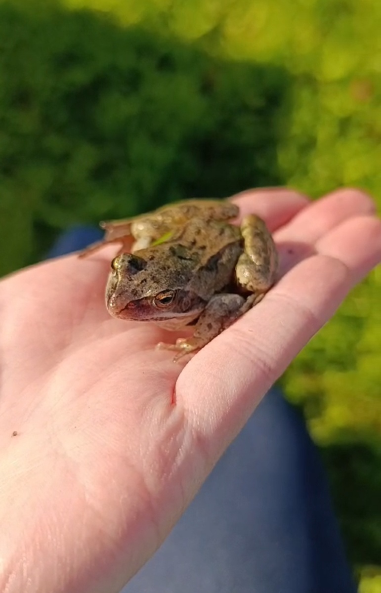 Продолжение. Ссылки на начало будут занимать уже слишком много места. Просто прокрутить мой канал и найдите отрывок, который пропустили)