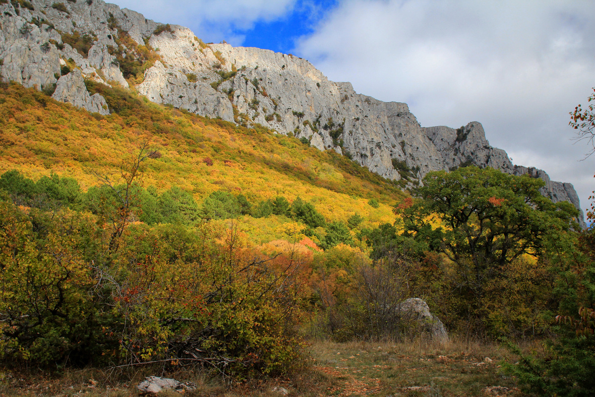 Золотая осень близ Оползневого