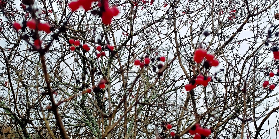 Советская кухня 80-х на моей плите: почему рецепты из старой подшивки «Работницы» оказались лучше современных блогов