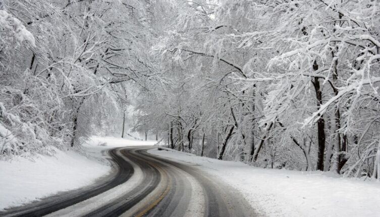    Какая разница между гололёдом и гололедицей? Фото: по лицензии CC0 Pxhere.com