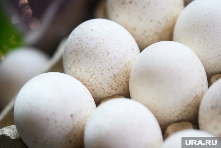    Цены на яйца показали заметный рост