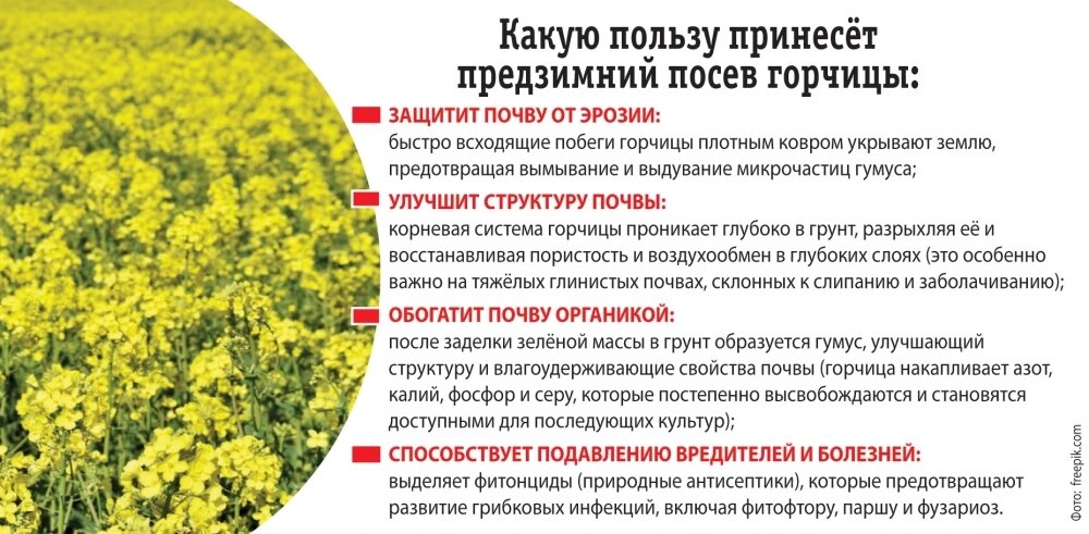    Фото: АиФ/ Евгения Каржина