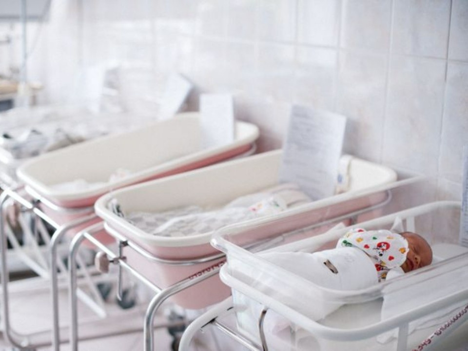    Фото: медиасток.рф