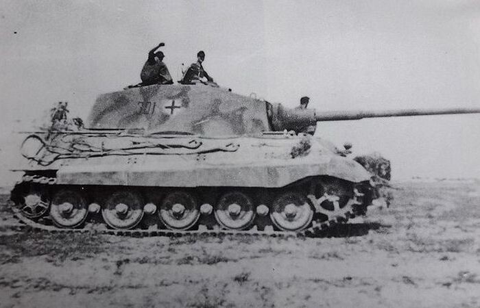 Больше пропаганды, чем пользы.