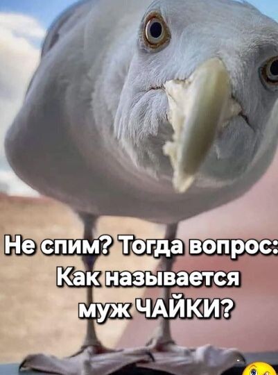 Добрые шутки