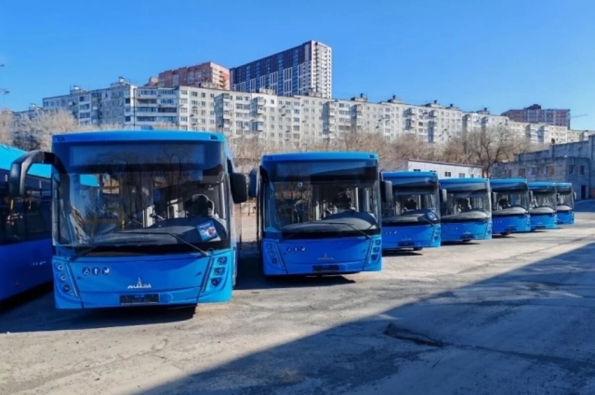    Губернатор Приморья анонсировал униформу для водителей автобусов